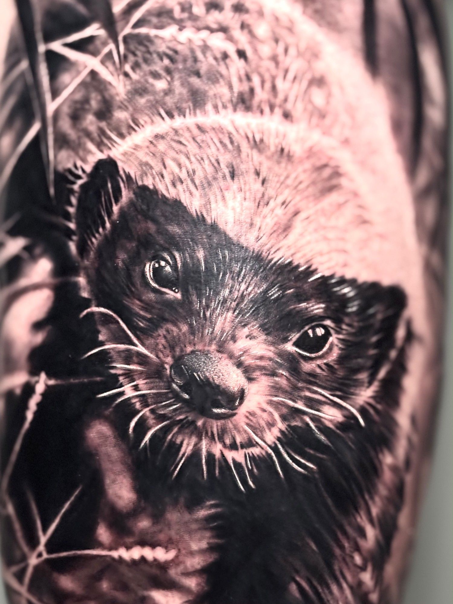 Muso di tasso tra fili d'erba, dettaglio di un tatuaggio realistico